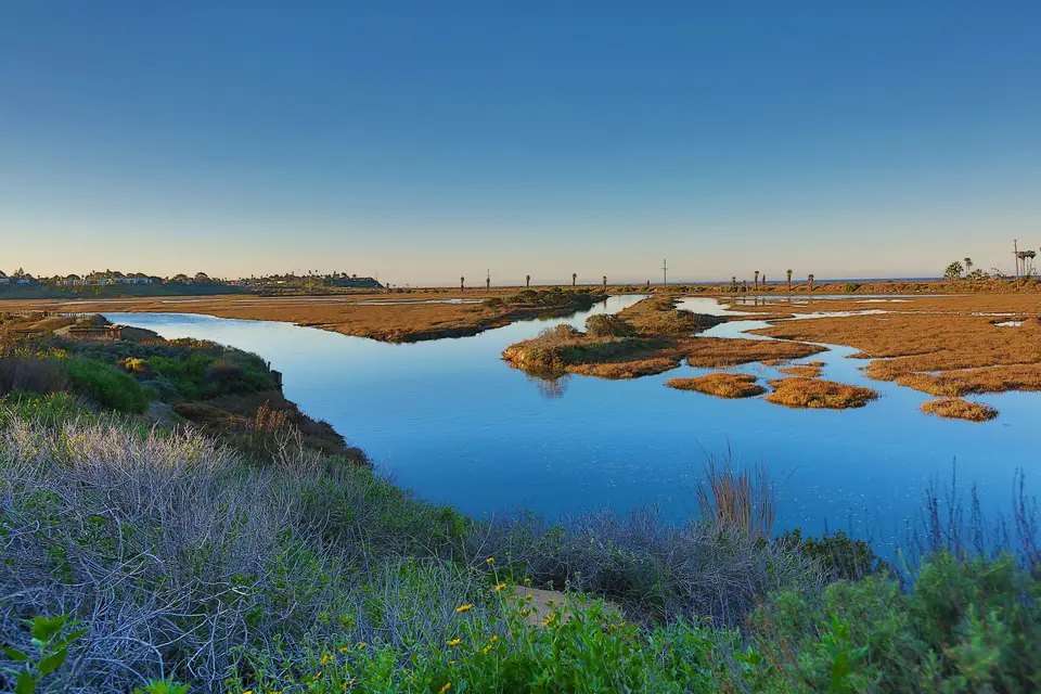 Calm channels of San Elijo Lagoon winding through golden marsh at dusk
