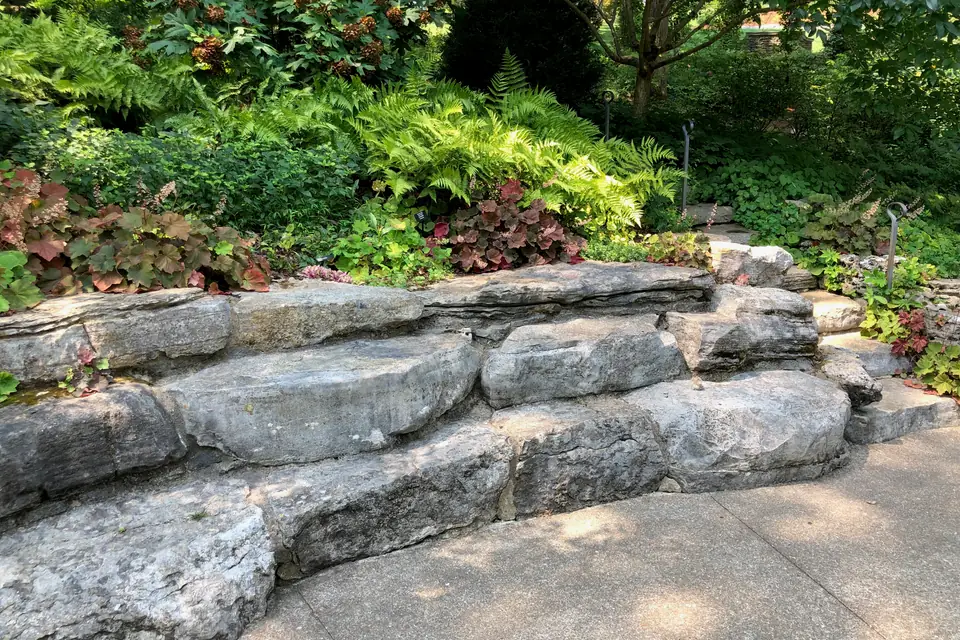 Natural stone retaining wall in layered ledges with ferns and shade plants above